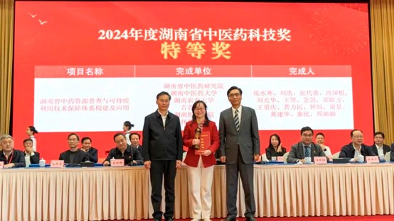 图片11