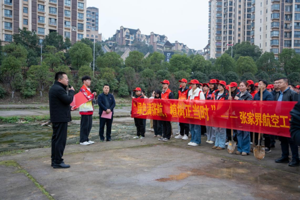 图片11