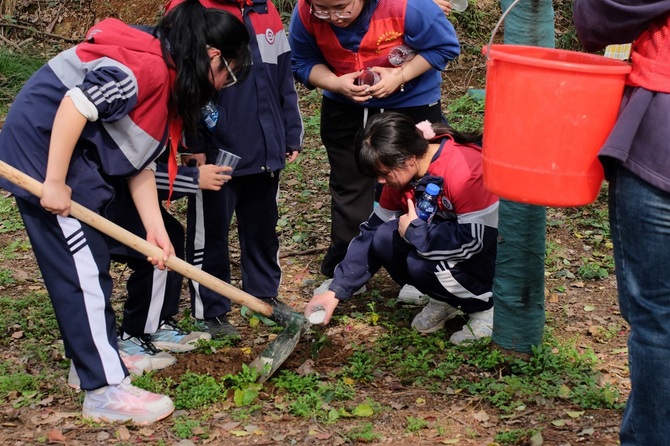 12 与“小树苗”一起培育小树苗